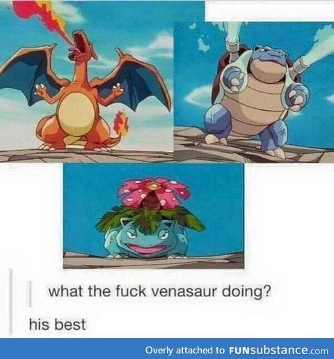 Why I never picked bulbasaur