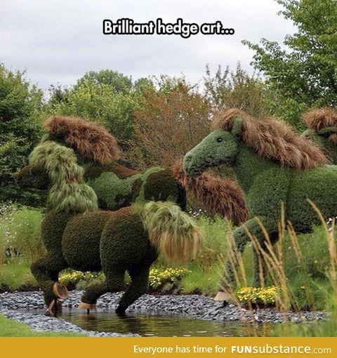 Very impressive hedge art