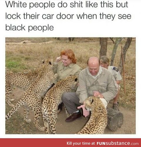 Well white people do love cats
