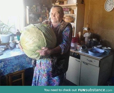 Bolivian woman and her cabbage: The largest one ever