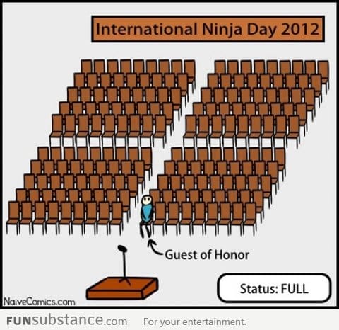 International Ninja Day