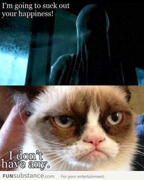 Grumpy cat strikes again