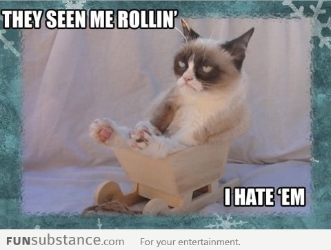 Grumpy Cat Rollin'