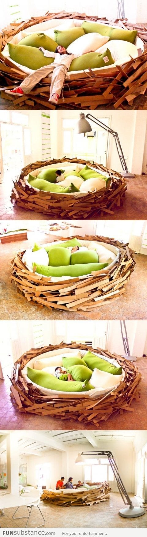 Giant Bird Nest!