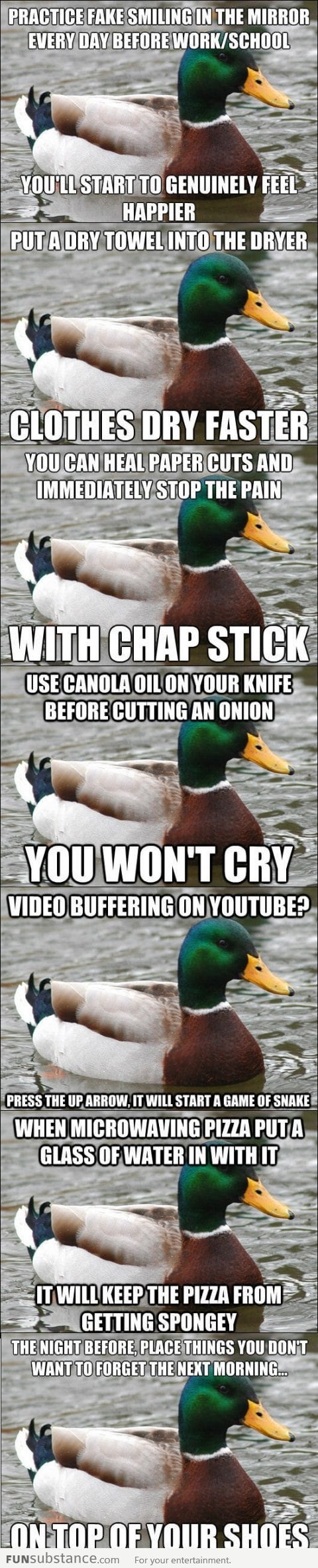 Actual Advice Mallard Compilation