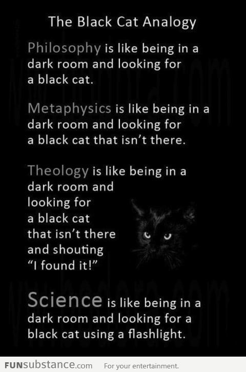 The Black Cat