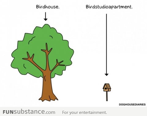 Bird House