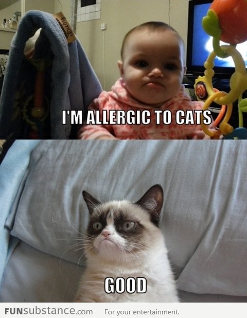 Grumpy Baby meets Grumpy Cat