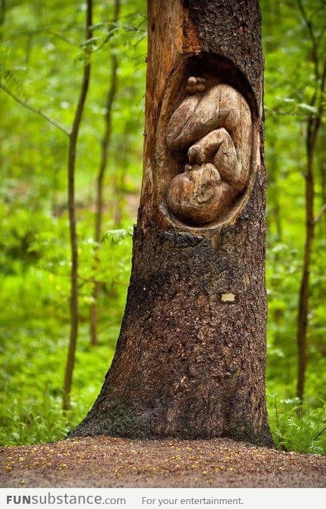 Tree trunk art