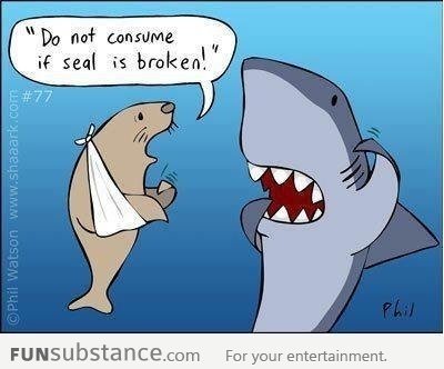 how to confuse a shark