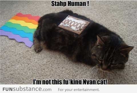 Gtfo Nyan!