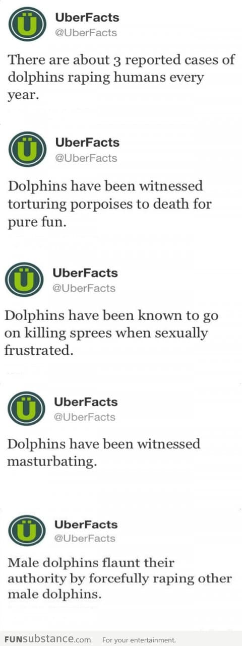 Dolphins: The Assh*les Of The Sea