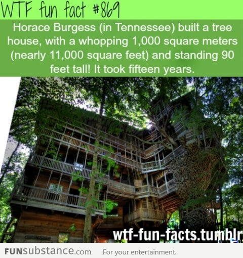 awesome tree house