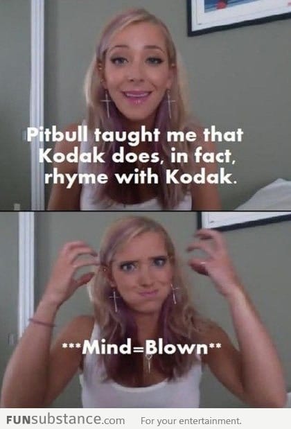 What Pitbull taught me