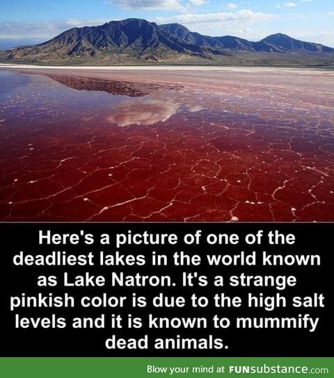 Blood lake
