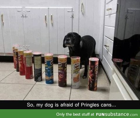 Pringles