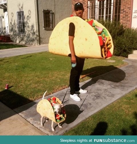 Probably the best Halloween costume that ever existed.
