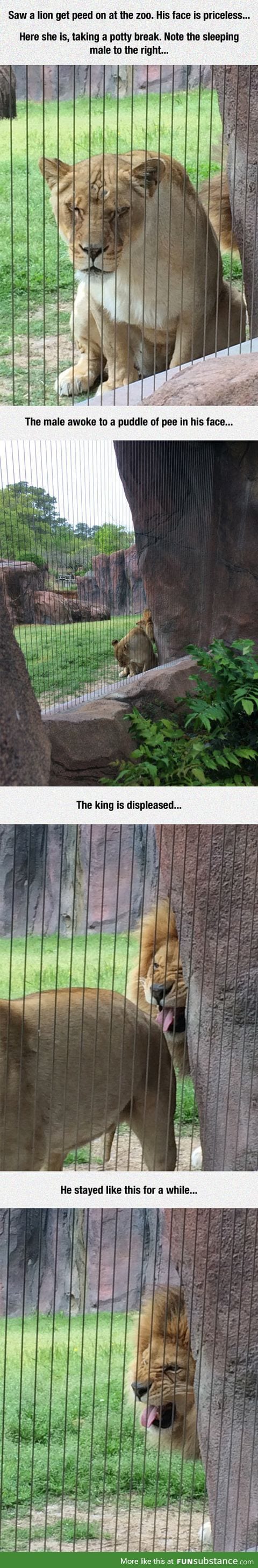 Disgust of the king