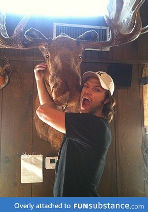 moose and moose