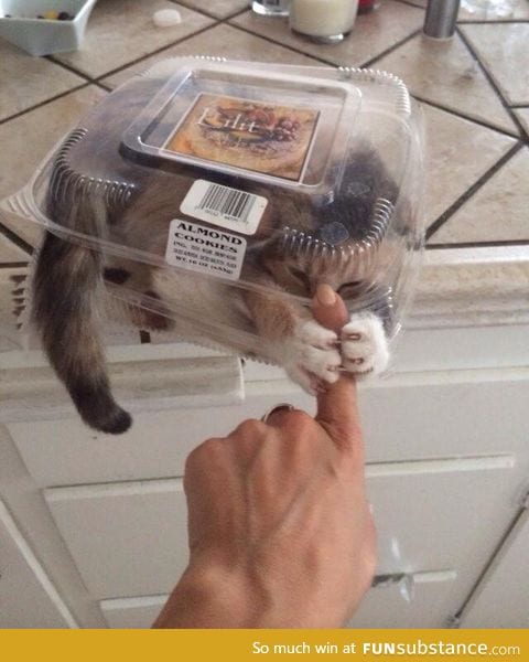 These almond cookies are very aggressive