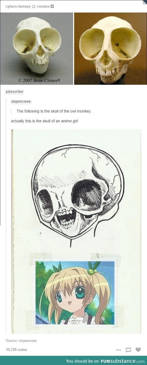 Anime skull