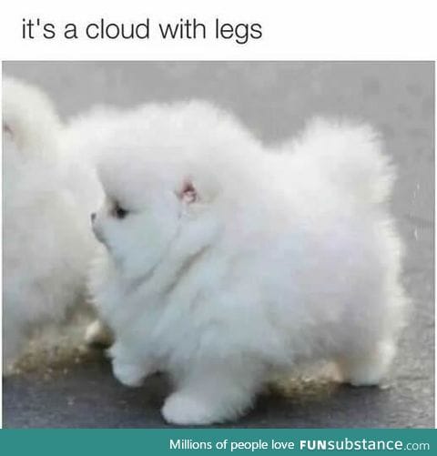 Cutest cloud