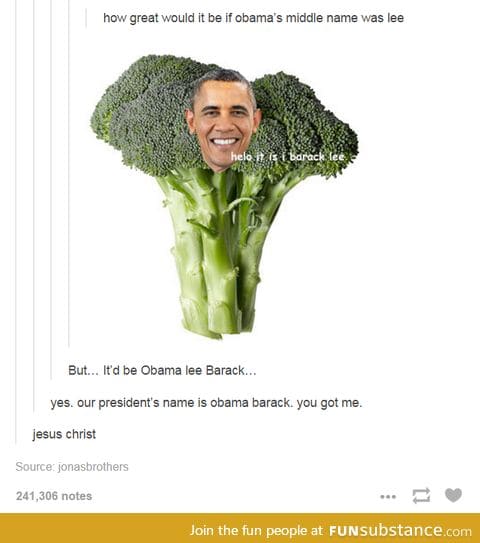 Shut up and eat your obamalee