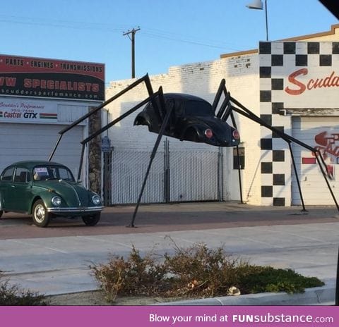 This shop made a spider out of a bug!