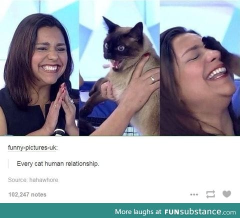 Cat Relations