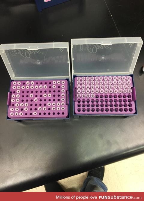 There are two types of scientists in this world