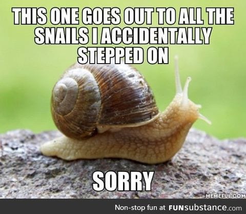I'm sorry, snails