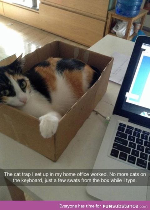 No more cats at the keyboard