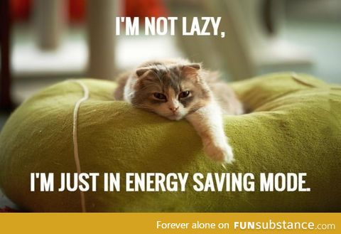 I'm Not Lazy