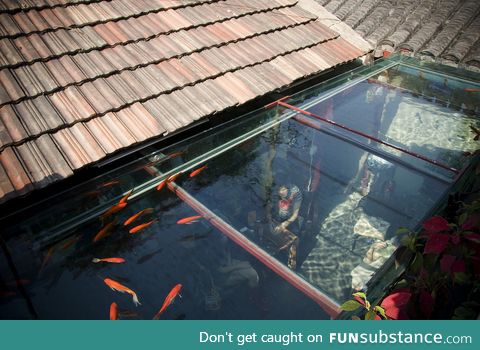The roof of this restaurant is a koi pond