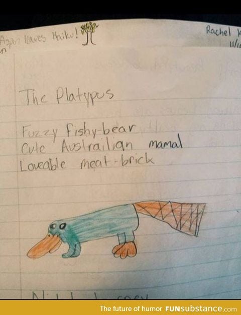 Caring block of platypus