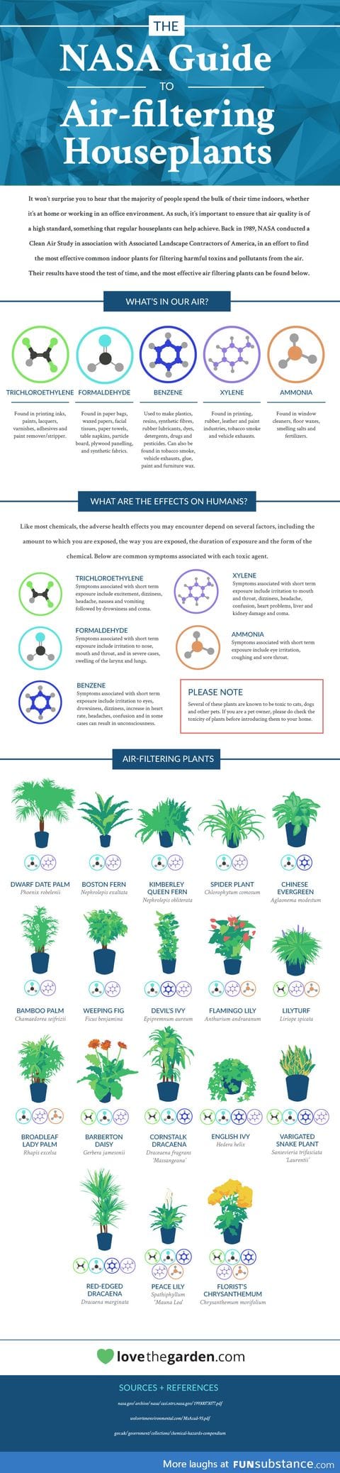 NASA: These 18 Houseplants Help Purify Your Home's Air