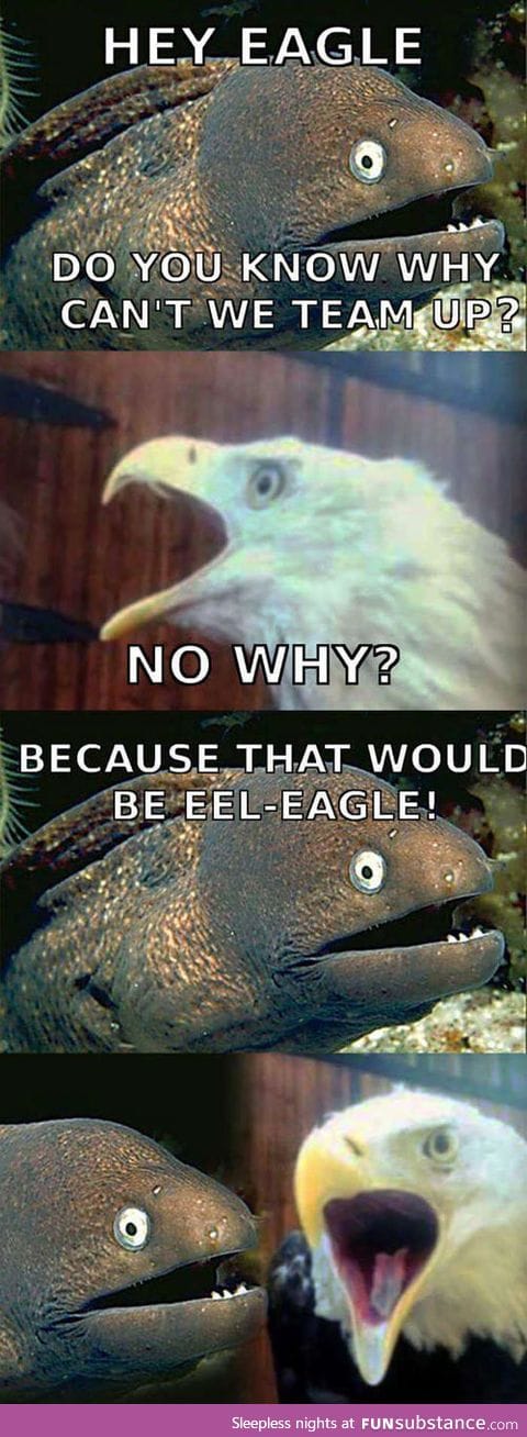 EEL-EAGLE