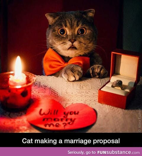I'd say yes in a heartbeat