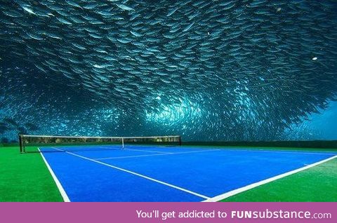 First underwater stadium, Dubai