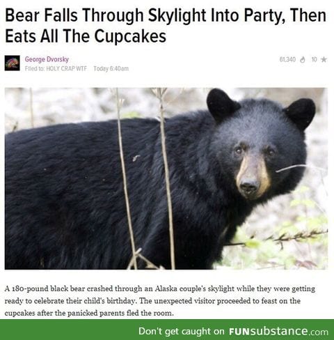Bear really knows how to party