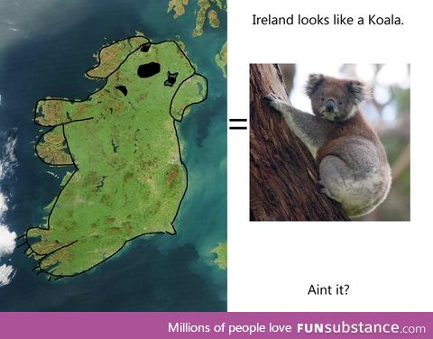 Ireland looks like a Koala