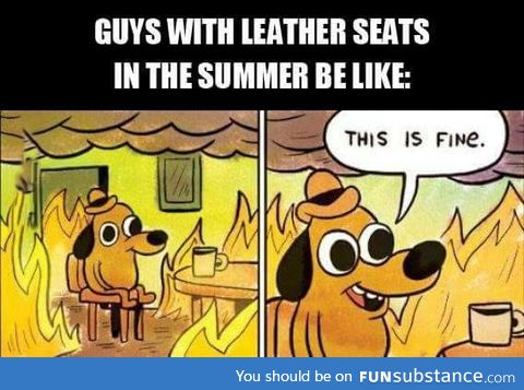 The only downside of leather seats