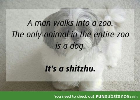 The only animal