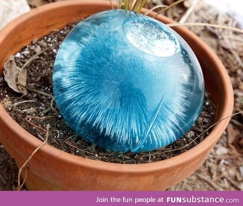 Frozen water balloon and food coloring