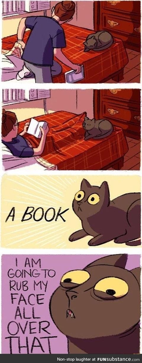 Doesn't everybody's cat do that?