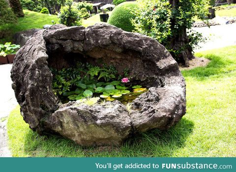 Swamp in a boulder
