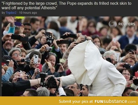 Pope guy