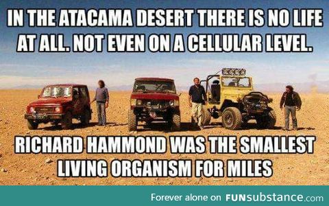 Smallest living organism in Atacama deset