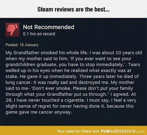 Steam reviews can be entertaining sometimes