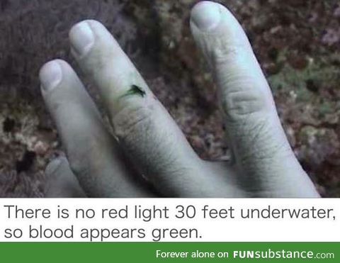 Blood appears green deep underwater